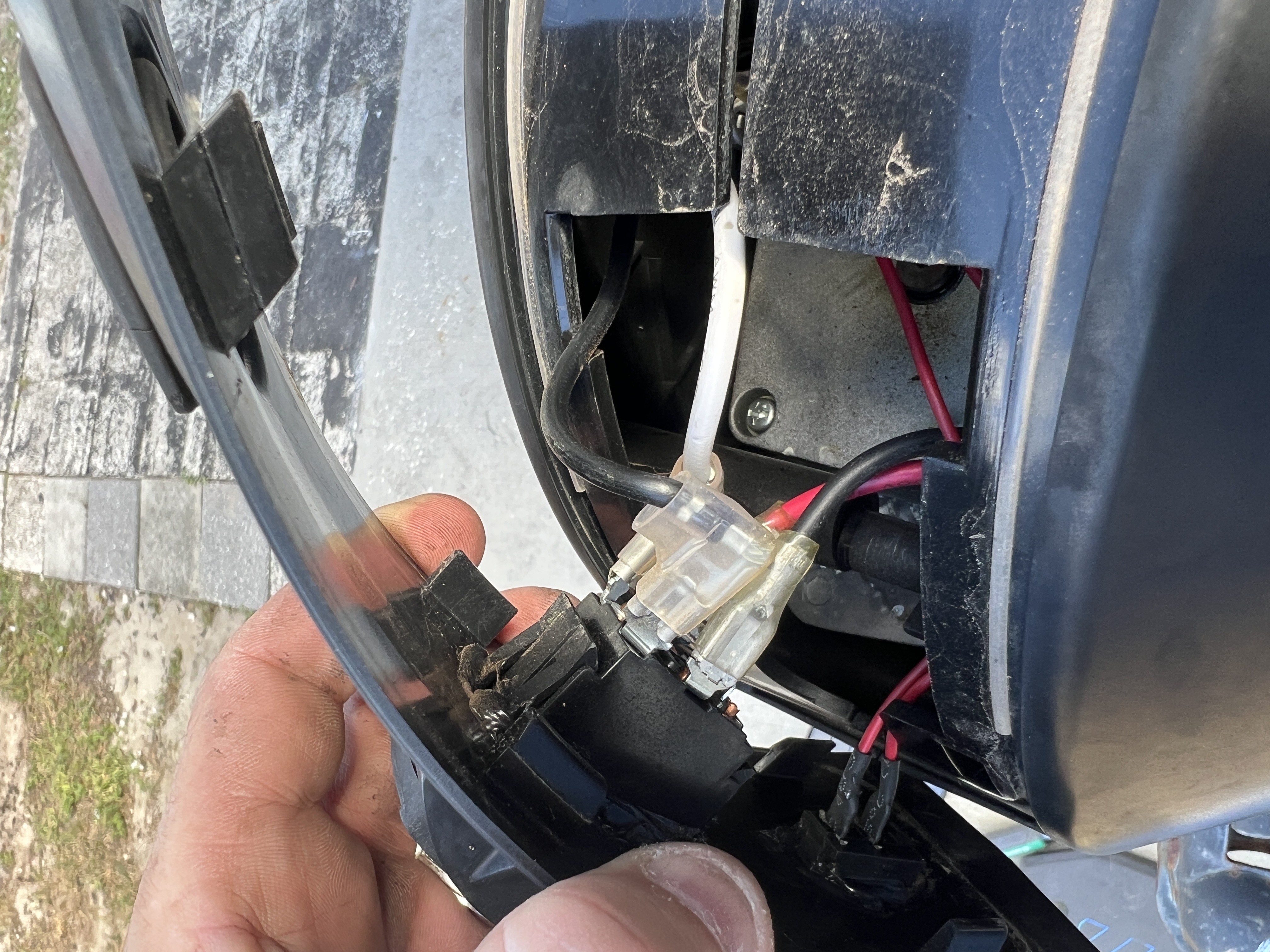 Professional Service