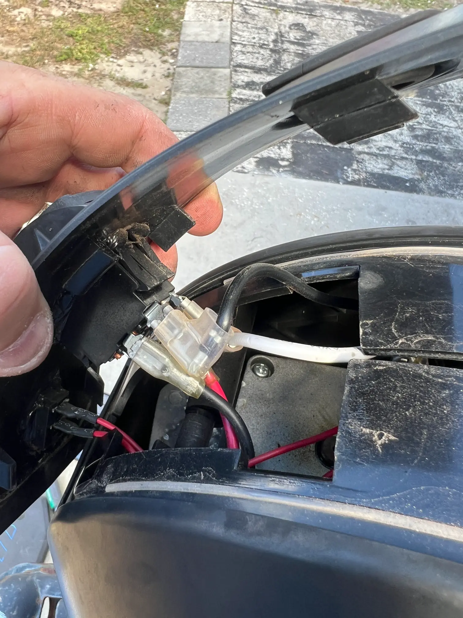 Professional Service